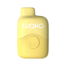 Waka soPro 600 - E-Shisha Einweg Minty Lemon